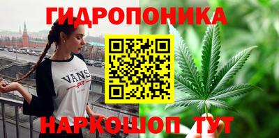гидра Партизанск