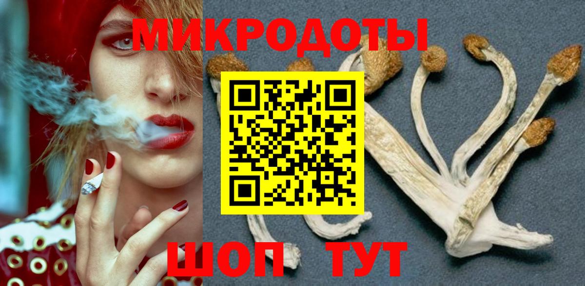 Галлюциногенные грибы Psilocybine cubensis Рузаевка